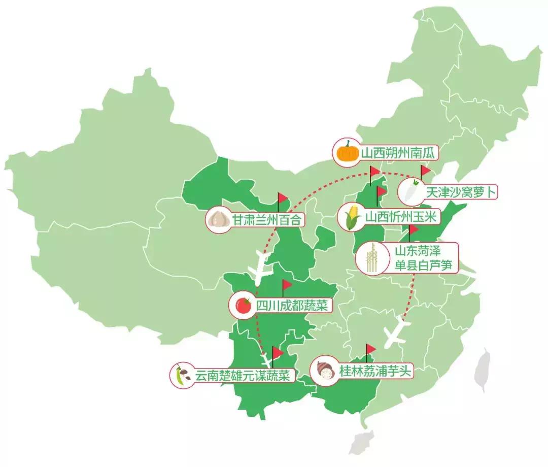 真正的有机农场纯天然蔬菜,种菜有机食品有哪些