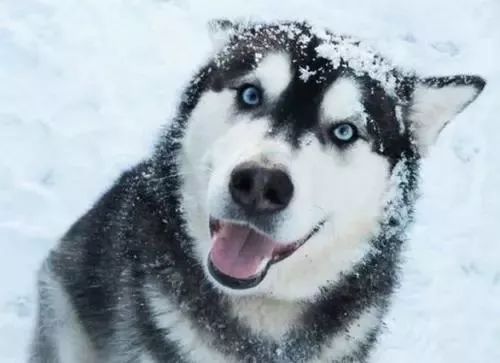 电力设计院到底有多累,电力设计院工作什么样