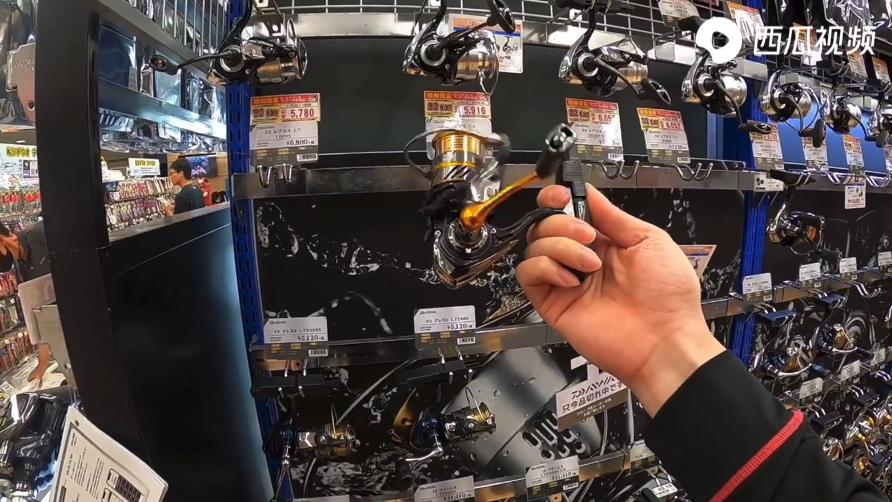 海钓的坑,海钓的坑有多大