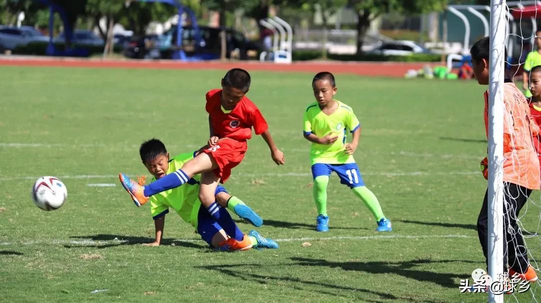 区中小学足球联赛,体教融合杯中学篮球赛