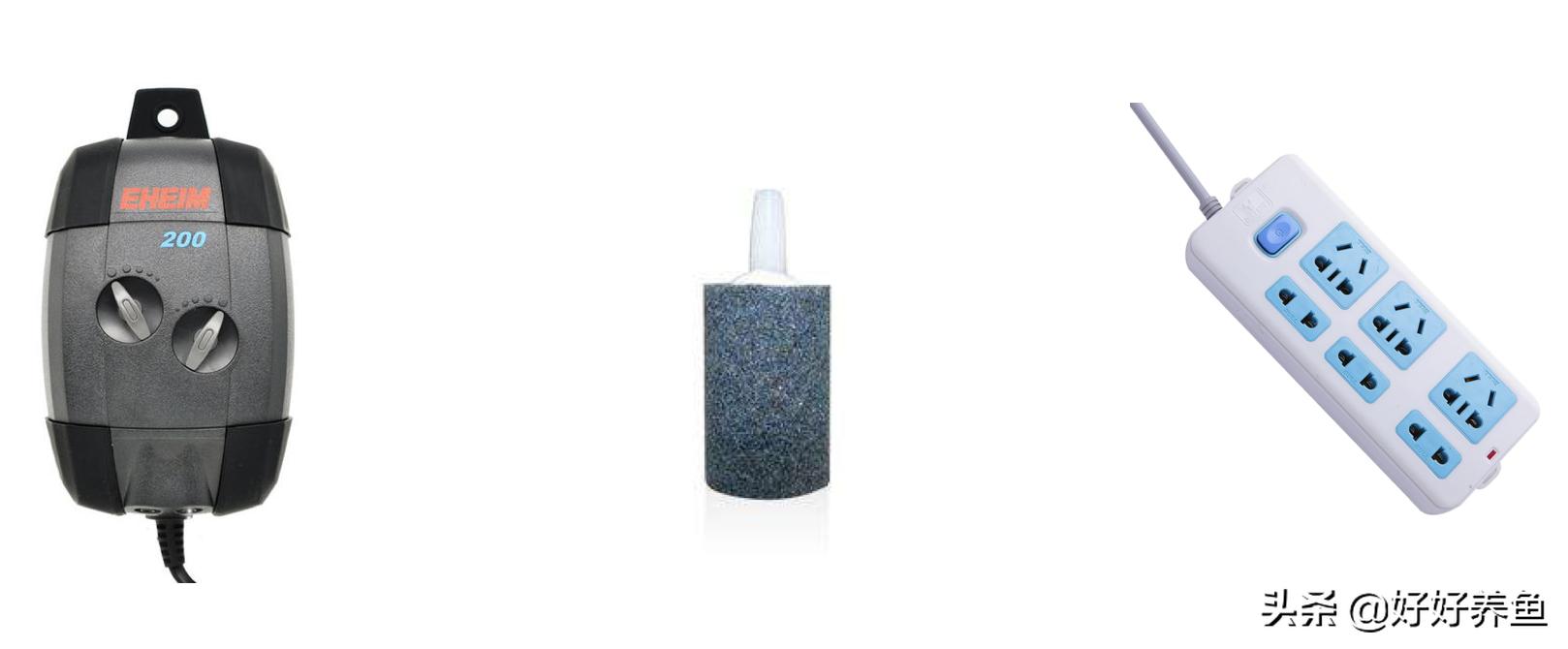 鱼缸换水注意事项养鱼老道,鱼缸养鱼换水的重要性