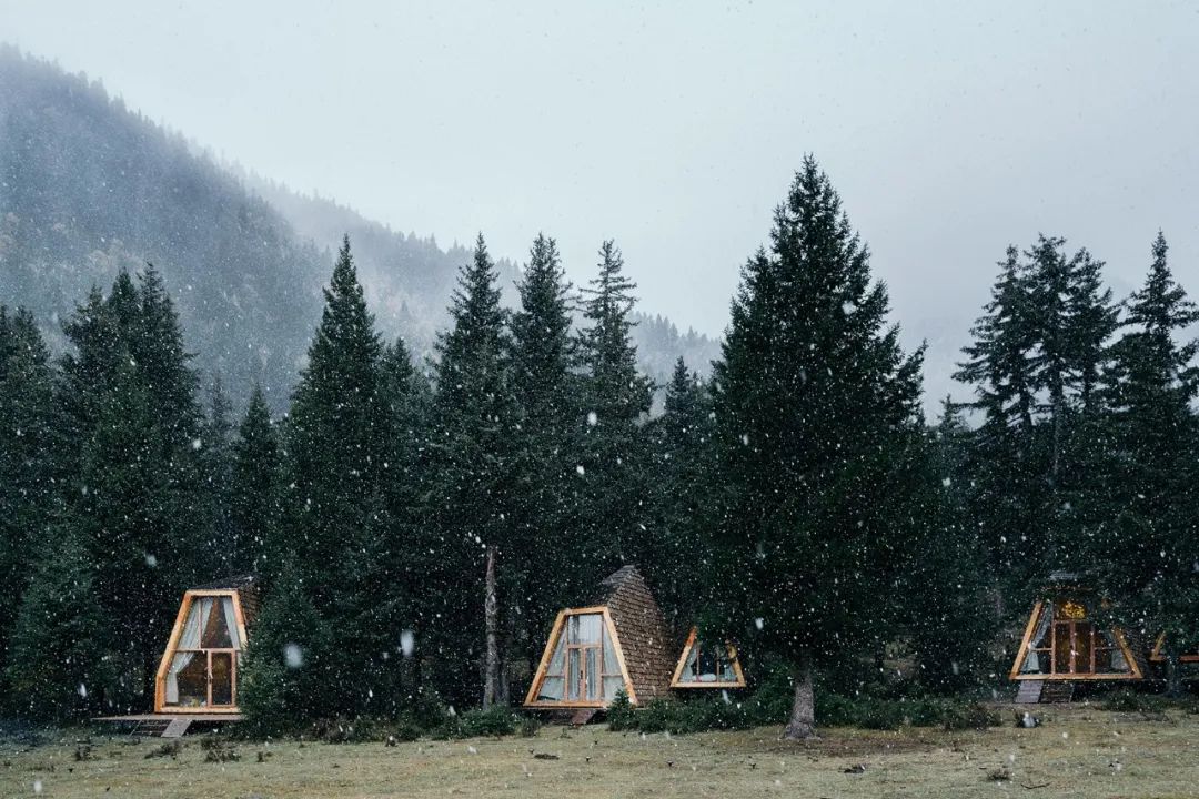 高端民宿一年营业成本600万,年赚百万的旅游民宿