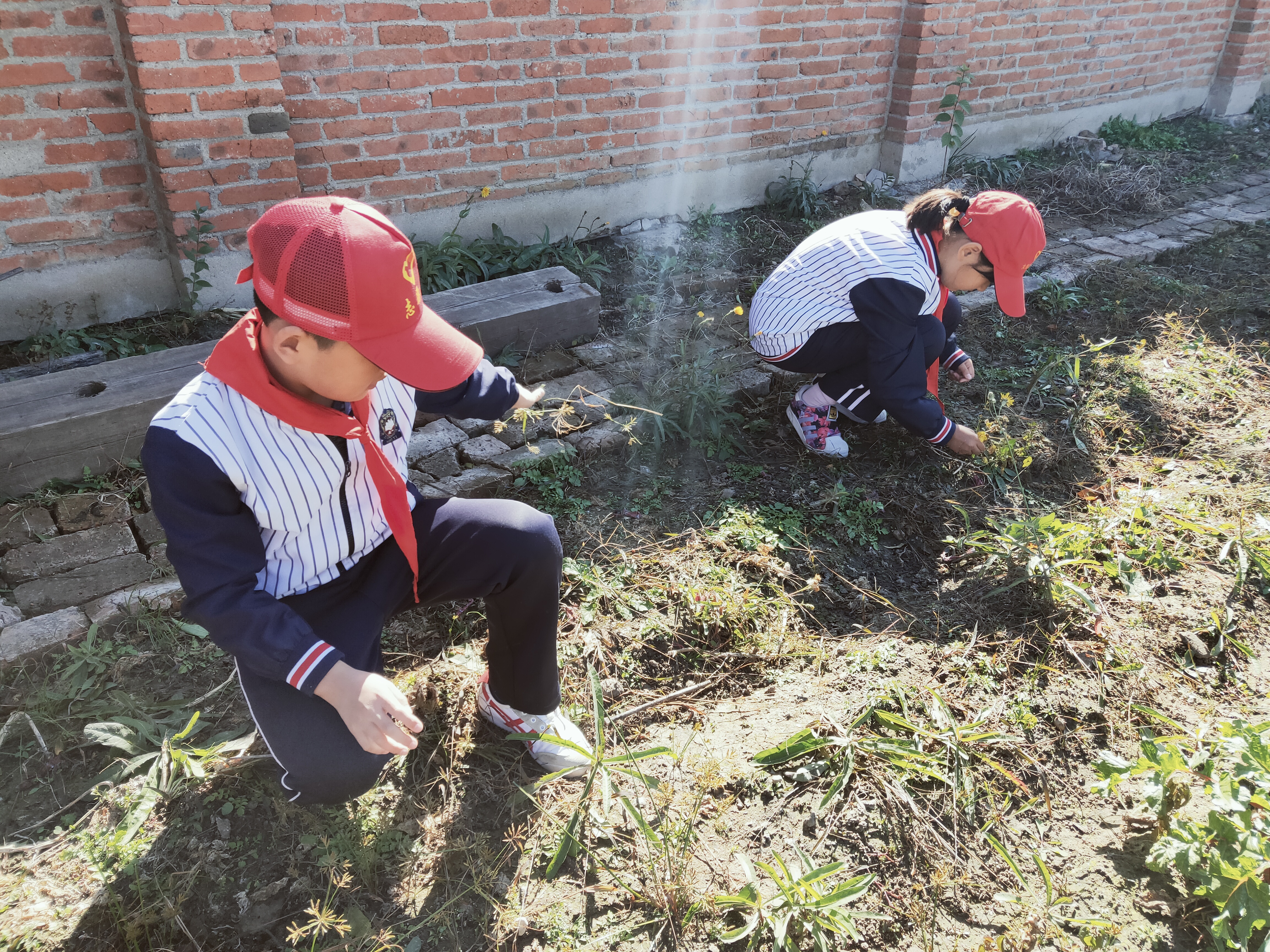 九九重阳尊老敬老,话说重阳尊老敬老