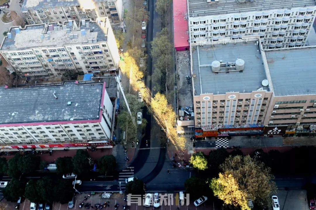 2024年创意好玩日历台历,元旦有趣的台历