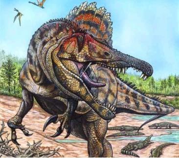 十大肉食性恐龙排名,肉食性恐龙吃什么