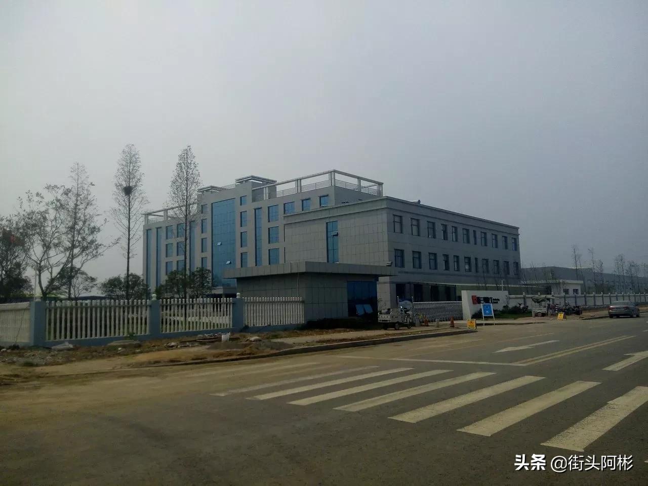 山东莘县最富是哪个镇,山东最富的镇排名