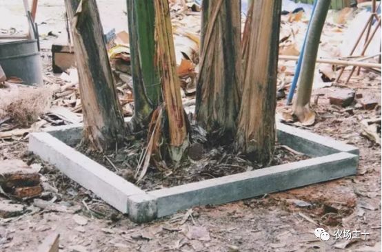 总共花了不到700元改造的废弃小院,花4万改造房子