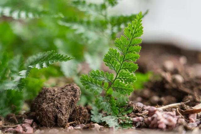 哪些便宜又好用的镜头,什么牌子的镜头最好用