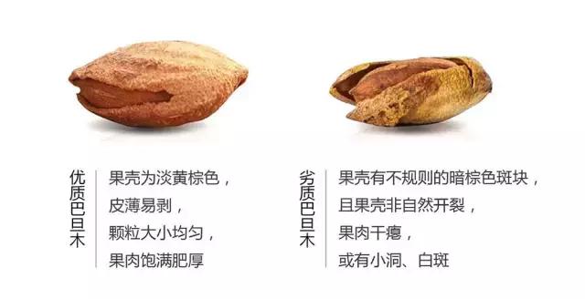 电视台曝光！这种坚果过年别买，这里教你如何选购？