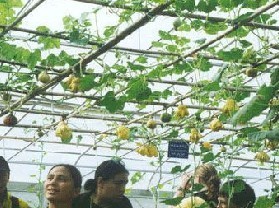 湘潭去武汉途经哪些景点,湖南湘潭哪些景点值得去