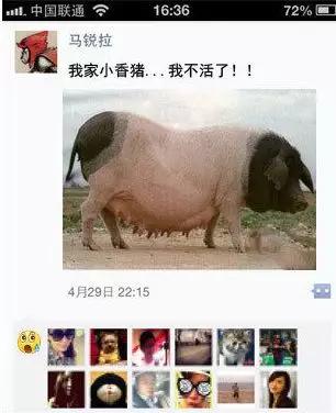 宿迁神苗淘宝,宿迁神苗真假对比