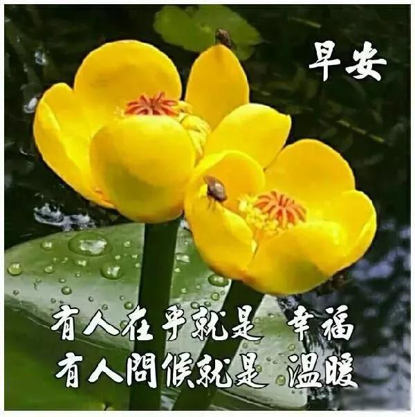 鍗冮噾鏄撳緱鐭ュ繁闅炬眰鏃╁畨鍥剧墖,浜虹敓鍗冮噾鏄撳緱鐭ュ繁闅捐