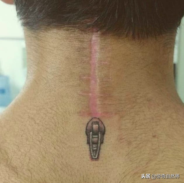 能遮盖疤痕的纹身,遮疤痕的纹身设计