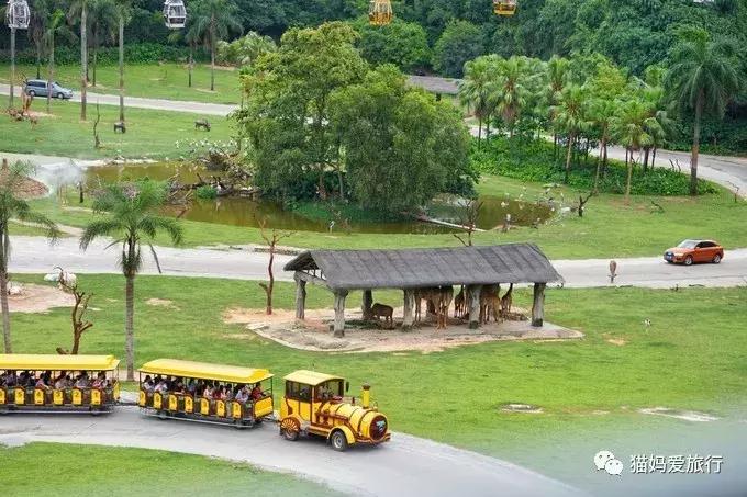 广州长隆野生动物园全程步行攻略,2天游玩广州长隆野生动物园攻略