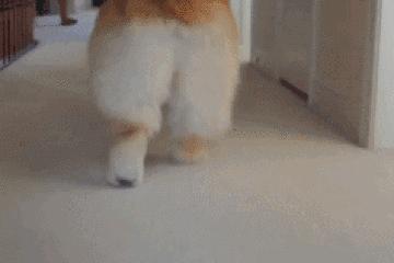 健身房改善假胯宽最有效,健身直播胯宽咋练