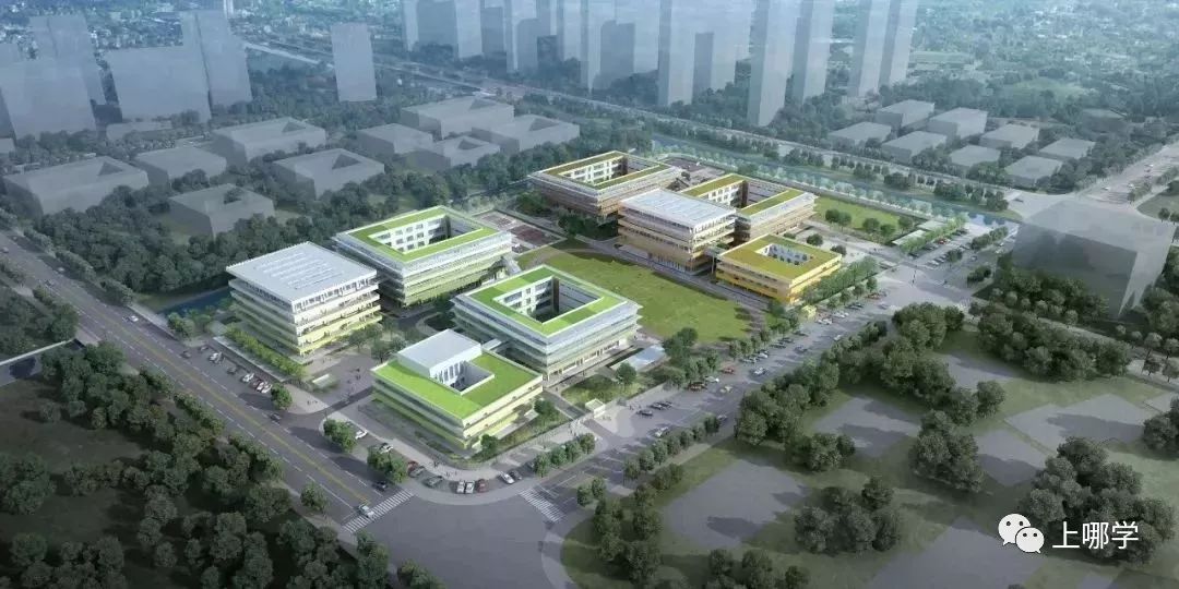 上海2024新建40所学校,上海新增招生大学