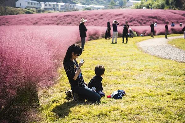 长三角城市群最佳旅游线路,长三角示范区旅游详细攻略