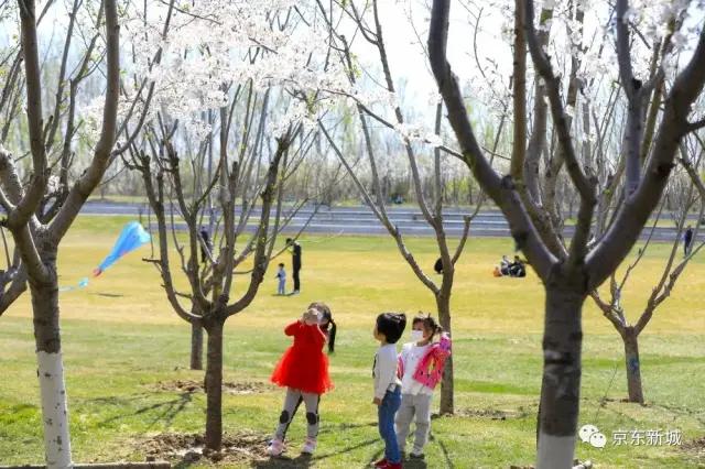 大厂工业文明小镇控制性详细规划,大厂回族自治县文化