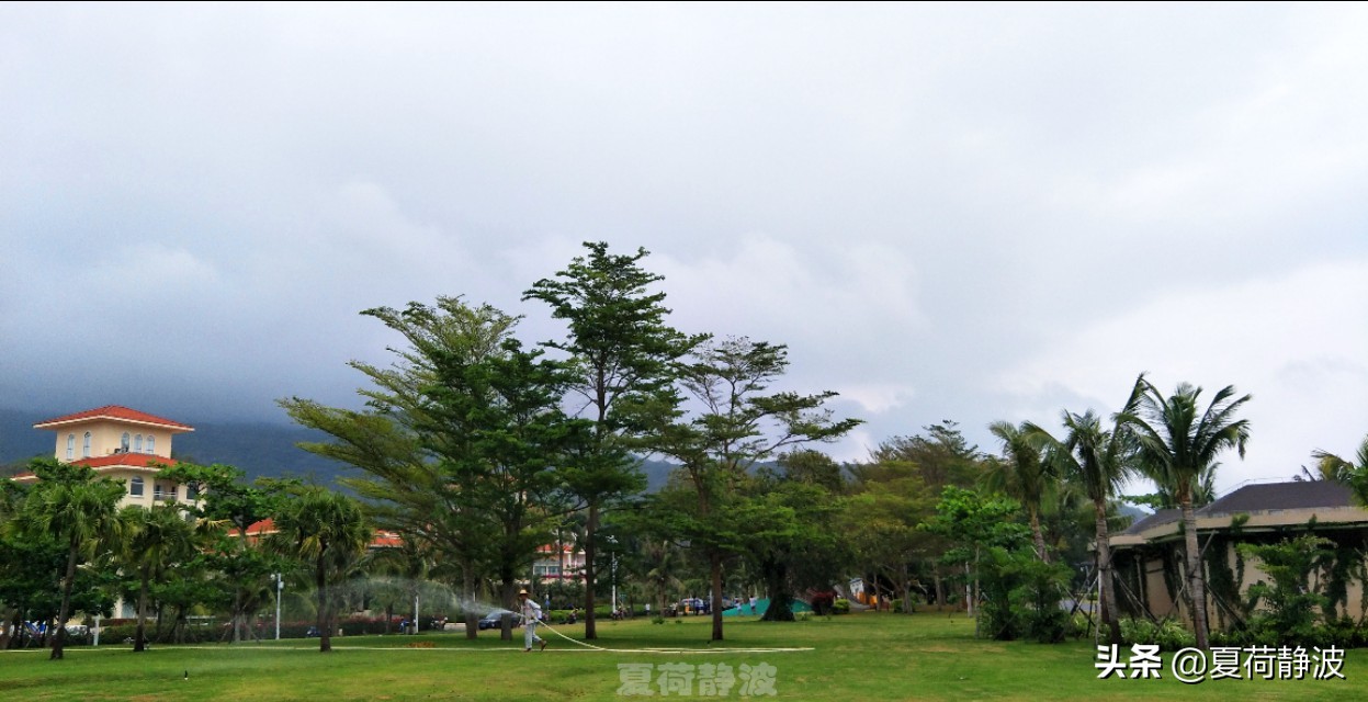 海南潜水旅游攻略一日游,海南亚龙湾游记
