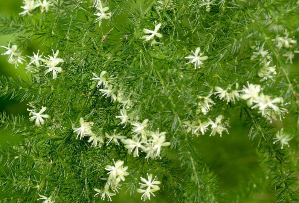 鏂囩鍙戦粍鐨勫師鍥犲強瑙ｅ喅鏂规硶瑙嗛,鏂囩鍙戦粍鐨勫師鍥犲強瑙ｅ喅鏂规硶鍥剧墖