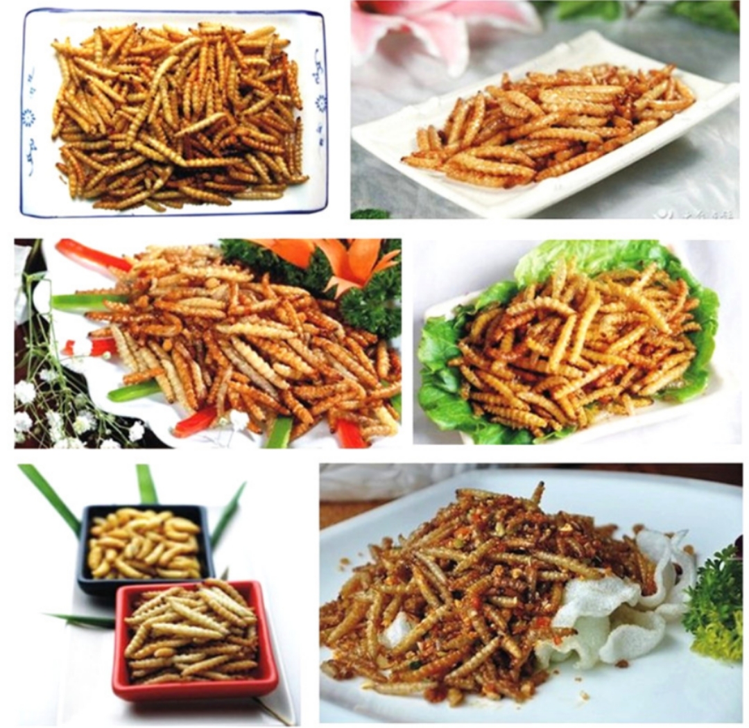 各种虫子美食大总结,关于虫子的重口味美食