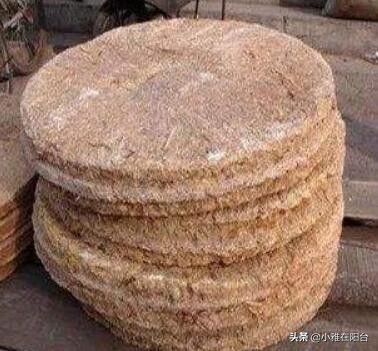 茉莉花盆栽浸盆浇花的正确方法,盆栽茉莉怎样浇水施肥