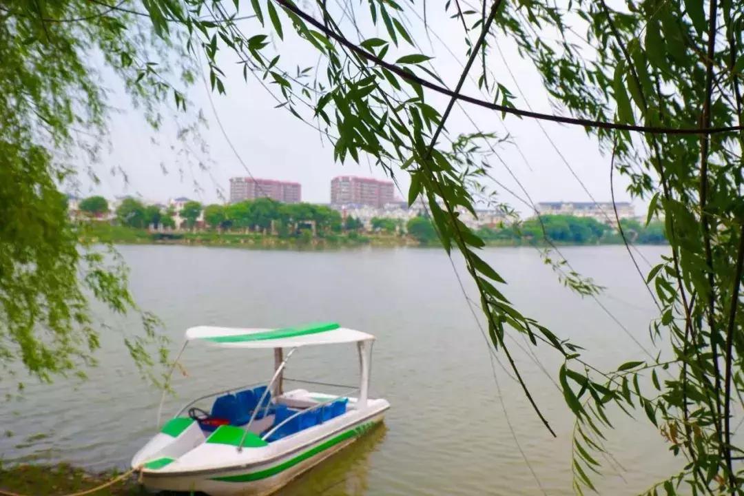 芜湖银湖公园在什么地方,芜湖银湖公园傍晚