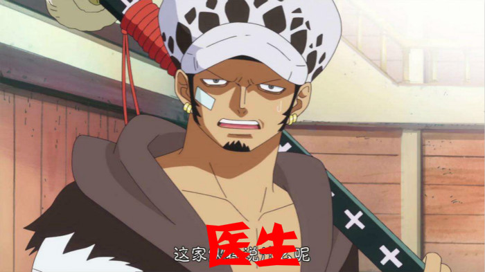 《海贼王》如果超新星十一人穿越到现代，那他们适合做什么工作？