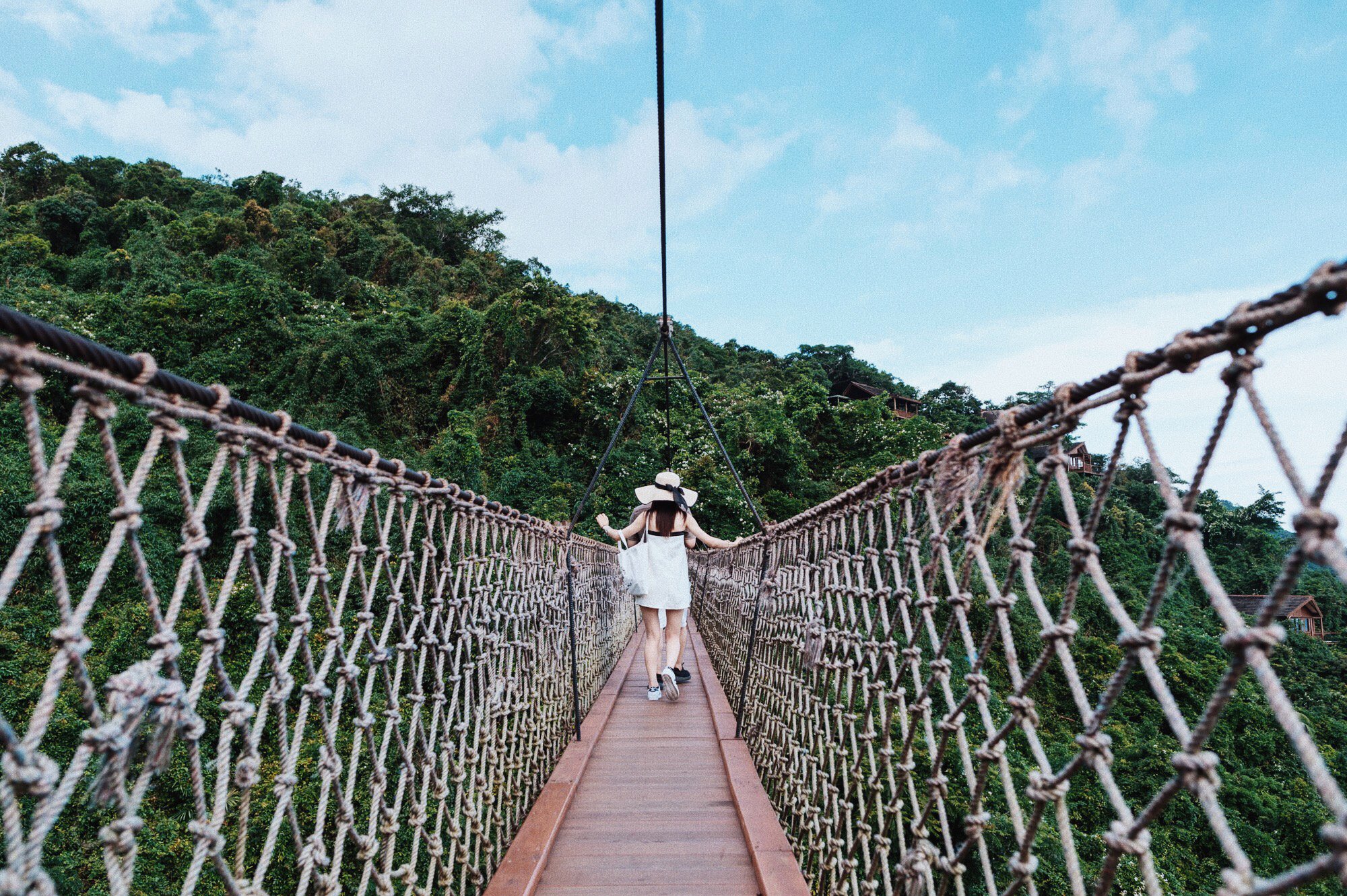 三亚地区国家级森林公园,三亚森林公园有哪些明星来过