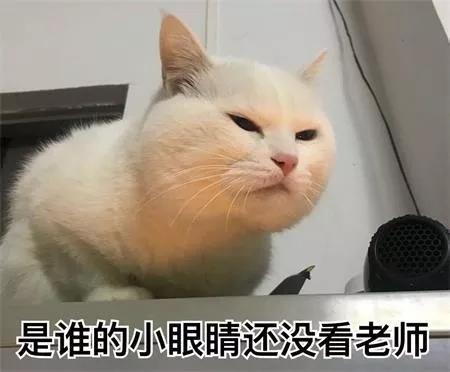 怎么分辨东方鱼肚白大理石,雪花白和大花白大理石区别