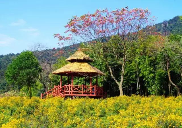 广州比较适合年轻人去的地方,广州最适合年轻人去的地方