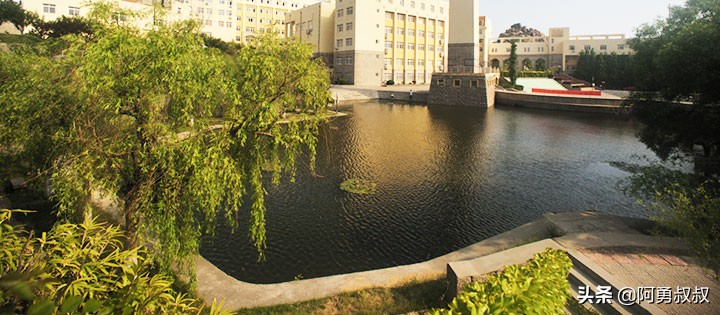 经验分享百强榜,青岛二中顶尖学子