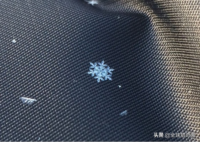 治愈强迫症的29张图片，看完整个人都舒爽了