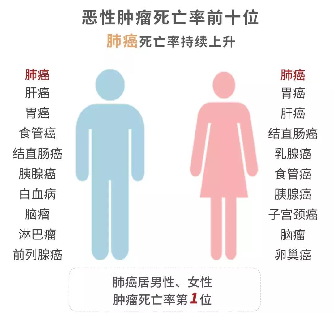 烟草税一年收入多少,烟税收每年大概多少亿