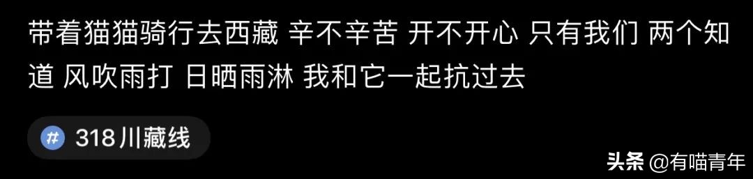 网红绑猫*藏西**骑行求关注,遭网友质疑回怼:比在家里刺激多了