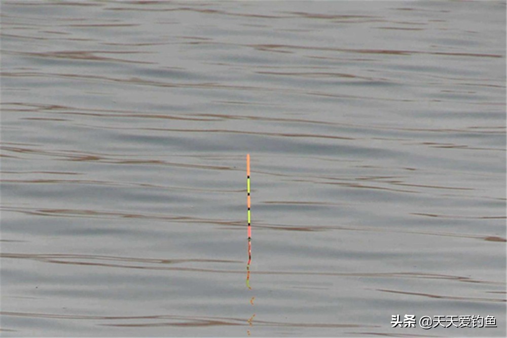 调漂的正确方法与技巧一招学会,调漂的几种常见方法