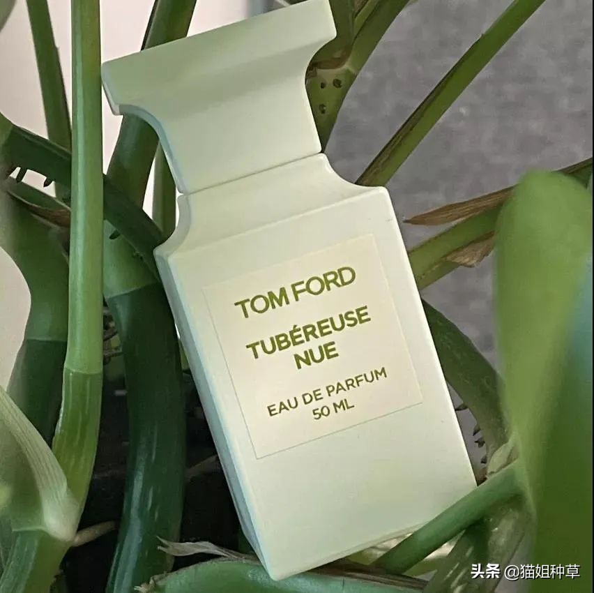全球富婆抢破头,今年春天出的都是些什么神仙香水?