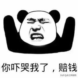 夏天最爱登门拜访惠州人的虫子，满屏全都是惊吓