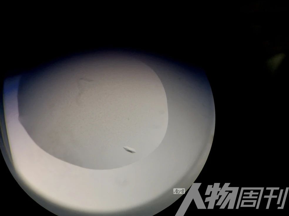 新冠疫苗之疫苗科普小知识 (疫苗最新消息新冠疫苗种类)