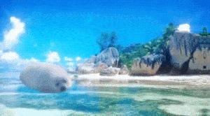 这届年轻人有多清醒,这届年轻人怎么爱上吸熊猫的