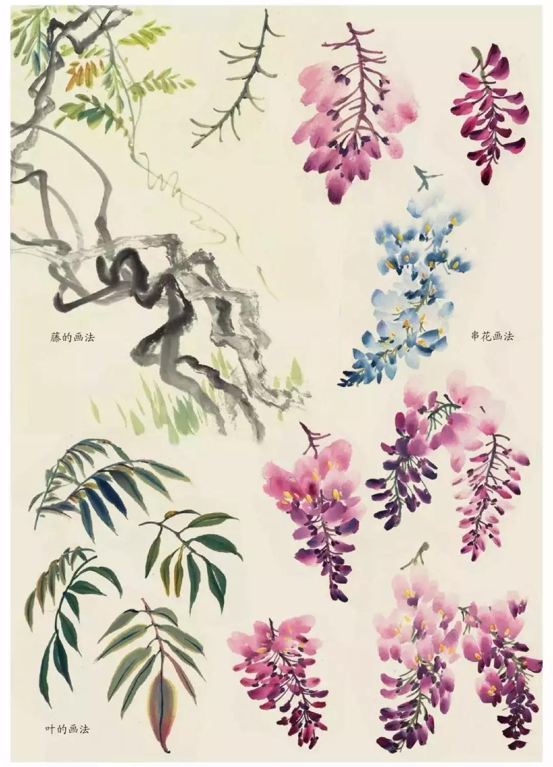 国画团扇花卉画法,国画中常见花卉的画法