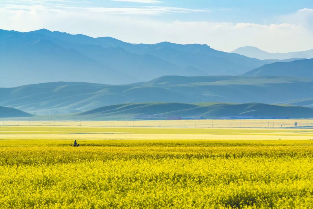 六月的北疆哪些地方值得去,六月的北疆解说