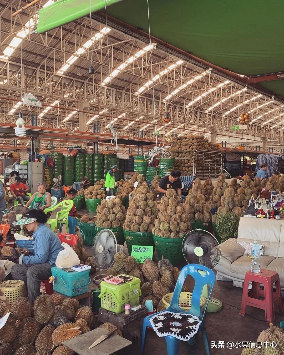 西双版纳水果市场榴莲 (上海亚洲最大的水果批发市场榴莲)