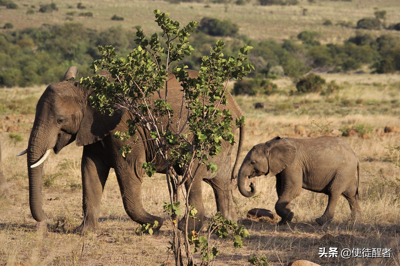 心理学上情绪情感问题如何解决,心理学解决情感婚姻问题
