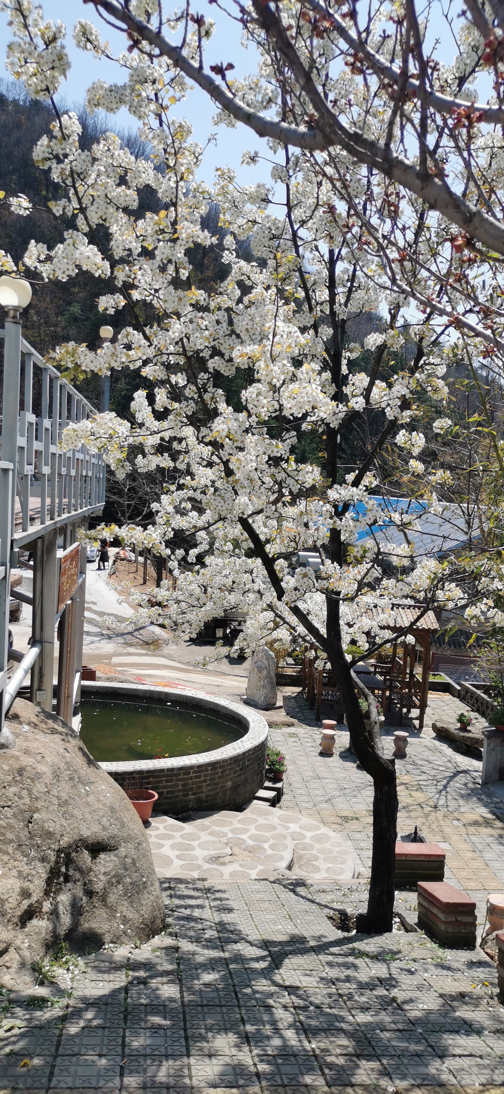 玉山蓝河风景视频,蓝田玉山蓝河风景区攻略