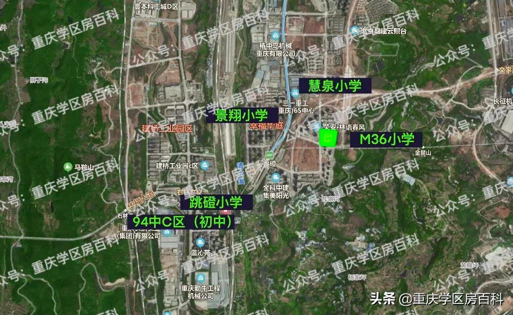 大渡口跳蹬有小学吗,大渡口跳蹬新建学校