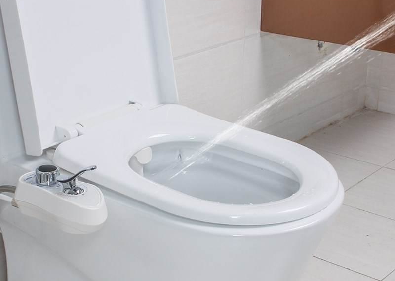 动物不擦屁股会难受吗,动物不擦屁股