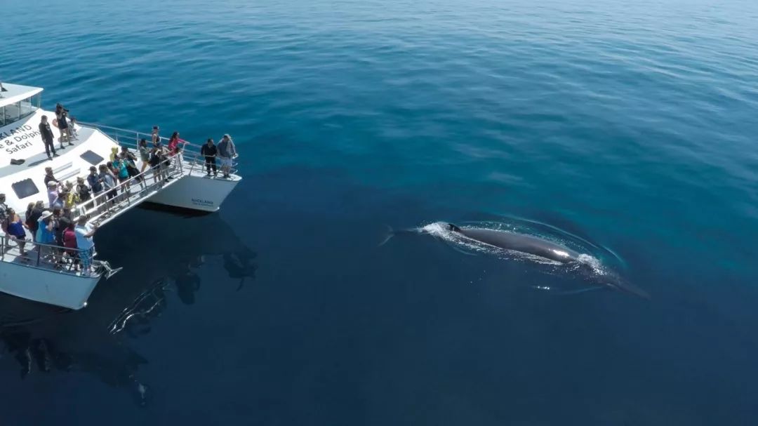 疫情后首个中国旅游团到达埃及,疫情后第一批中国游客