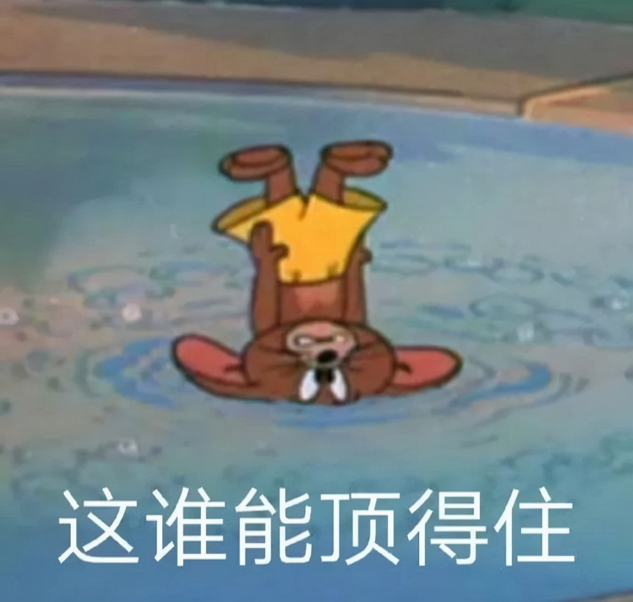 今年双十一活动喵糖当天会清零吗,双十一活动喵糖有哪些获取方法