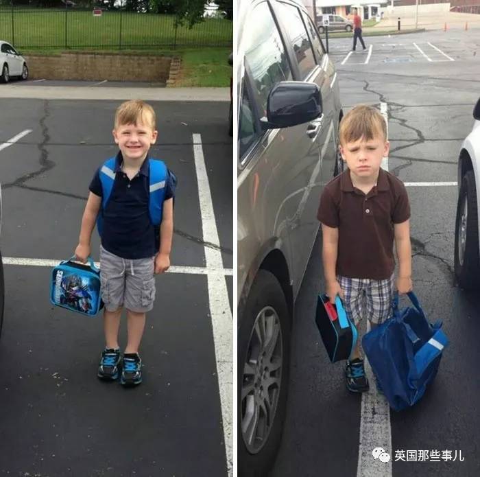 蓝鲸实拍有多大,蓝鲸到底有多大参照物